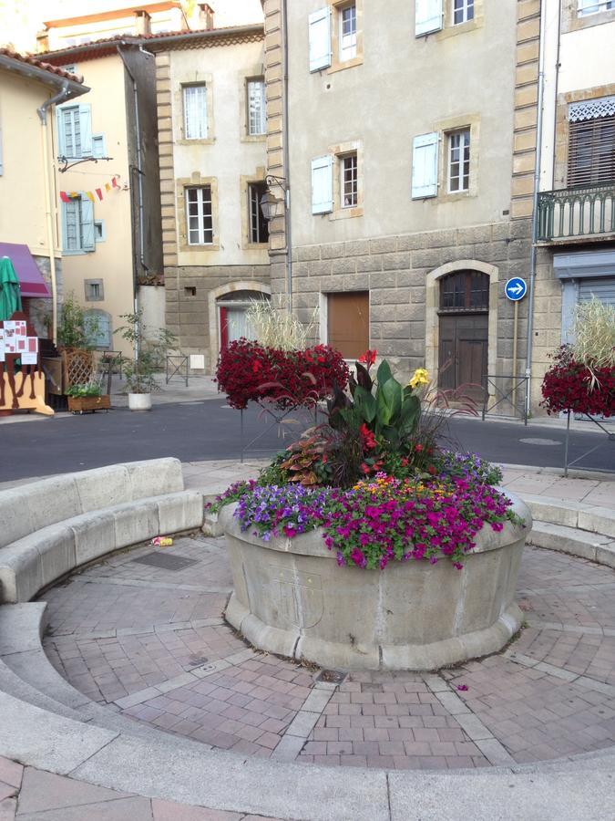 L'Arche Des Chapeliers Panzió Foix Kültér fotó